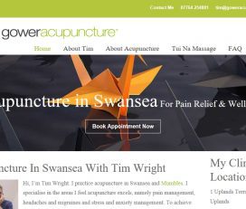 Gower Acupuncture, Swansea