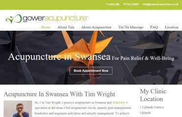 Gower Acupuncture, Swansea