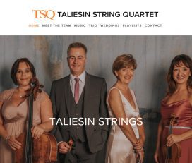 Cariad String Quartet, Swansea